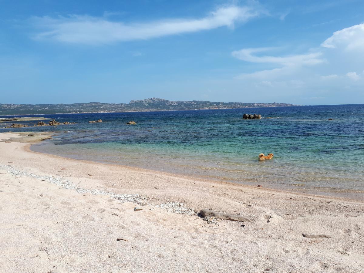 Appart hôtel Résidence Le Village Marin Porto-Vecchio (Corsica)